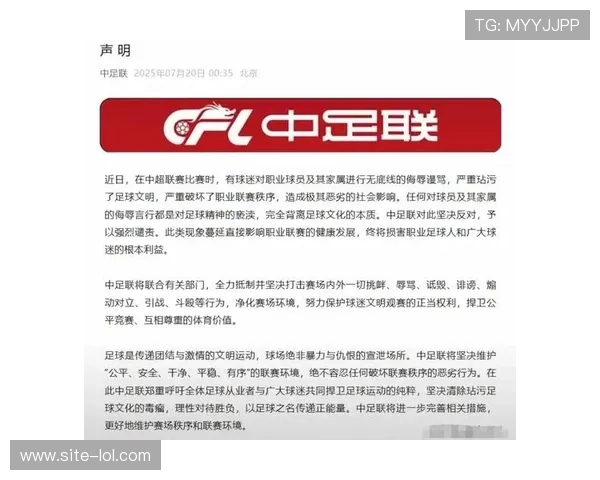 足球迷袭击球星事件背后的真相与影响揭示：粉丝狂热引发的暴力冲突分析